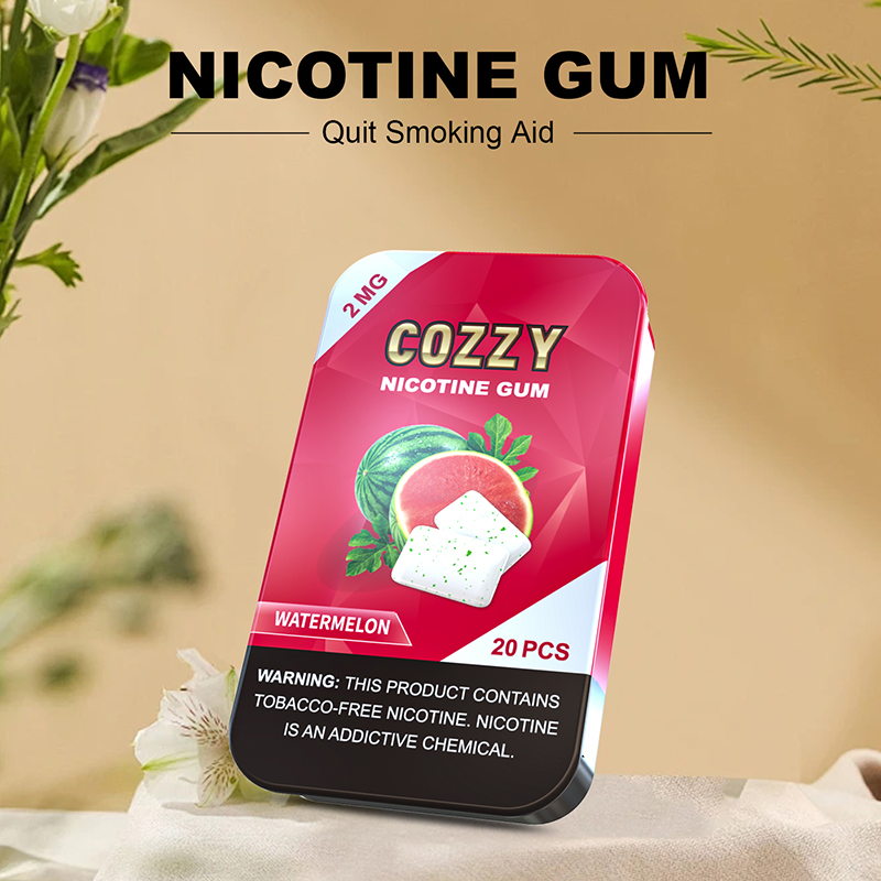 COZZY 2/4mg Nicotine Gum